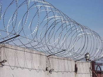 АСКЛ армированая колючая лента спиралевидная 500х50х5