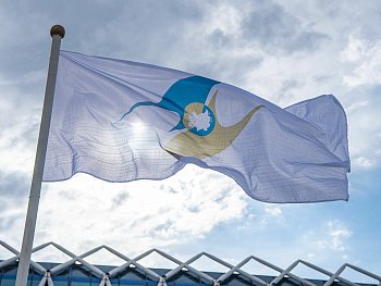 Флаг сетка 20*30 см Флаг сетка 20*30 см